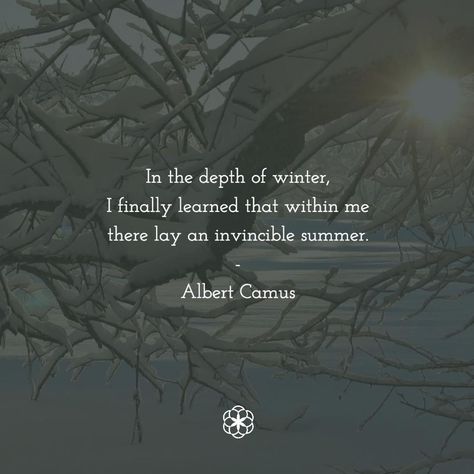 A Network For Grateful Living on Instagram: “"In the depth of winter, I finally learned that within me there lay an invincible summer." -Albert Camus⠀ .⠀ 📷: Anja Osenberg⠀ .⠀ .⠀ .⠀…” Albert Camus Invincible Summer, Albert Camus Book Quotes, The Fall Albert Camus, I Choose Coffee Today Albert Camus, The Stranger Albert Camus, An Invincible Summer, Albert Camus Quotes, Camus Quotes, Invincible Summer