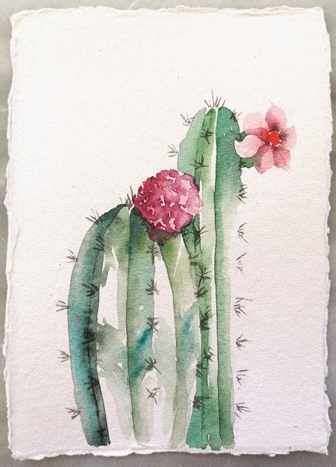 Cactus Watercolour, Cactus Paintings, Cactus Watercolor, Cactus Drawing, Watercolor Succulents, Cactus Painting, Diy Watercolor Painting, Watercolor Cactus, Watercolor Plants