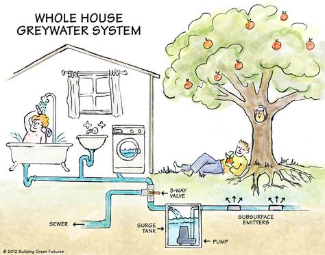 Grey Water Recycling, Rain Water Collection Diy, Grey Water System, Rainwater Harvesting, Water Collection, Water System, Rain Barrel, Rain Water Collection, Earthship