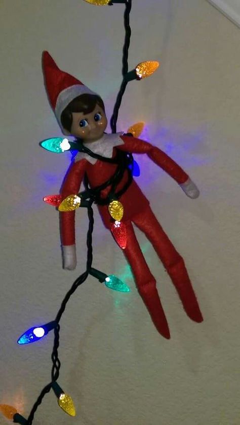 Elf Christmas Lights On The Shelf, Elf On The Shelf Wrapped In Lights, Elf On The Shelf Christmas Lights, Elf Tangled In Lights, Elf Wrapped In Lights, Elf Hanging From Chandelier, Tangled Lights, Xmas Elf, Christmas Elf