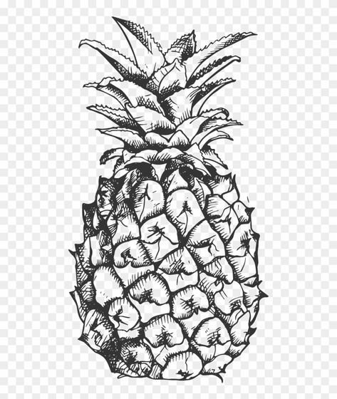 Fruit Drawing Black And White, Draw Pineapple, Pineapple Black And White, Pineapple Sketch, Banana Clipart, Pineapple Drawing, Black And White Tropical, Fruit Drawing, Black And White Png