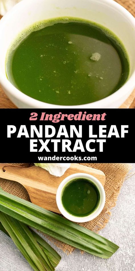 Pandan leaves and water are all that stand between you and fresh pandan extract with no nasties. Grab your blender and whip this up in two minutes! Pandan Leaf, Asian Sauces, Pandan Leaves, Japanese Sauce, Healthy Asian Recipes, Vegan Asian Recipes, Flavored Rice, Asian Sauce, Vegan Asian