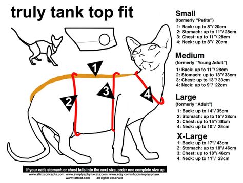 How to Measure your Cat for Clothes | Sphynx Cat World Diy Kitten Clothes, Cat Sweater Pattern, Kitten Clothes, Small Dog Accessories, Sphynx Cat Clothes, Pet Sweaters, Dog Clothes Diy, Sphinx Cat, Rare Cats