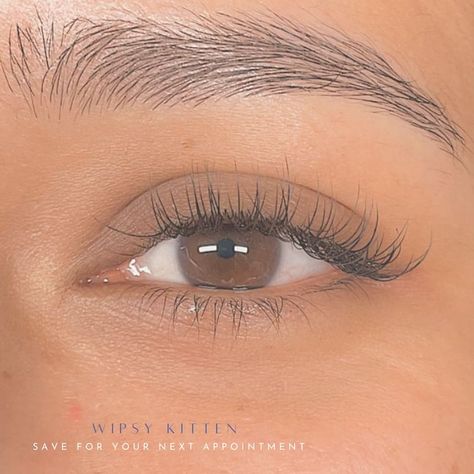 SAVE THIS POST FOR YOUR NEXT APPOINTMENT 😙🤌🏽 Introducing ✨wispy classics ✨ CONFIDENCE in every blink 💌 Elevate your signature style with… | Instagram Classic Eyelash Extensions Natural, Short Classic Lash Extensions, Kitten Eyelash Extensions, Wispy Classic Lash Extensions, Natural Classic Lash Extensions, Classic Lash Extensions Styles, Classic Natural Eyelash Extensions, Classic Eyelash Extensions, Classic Lash Extensions