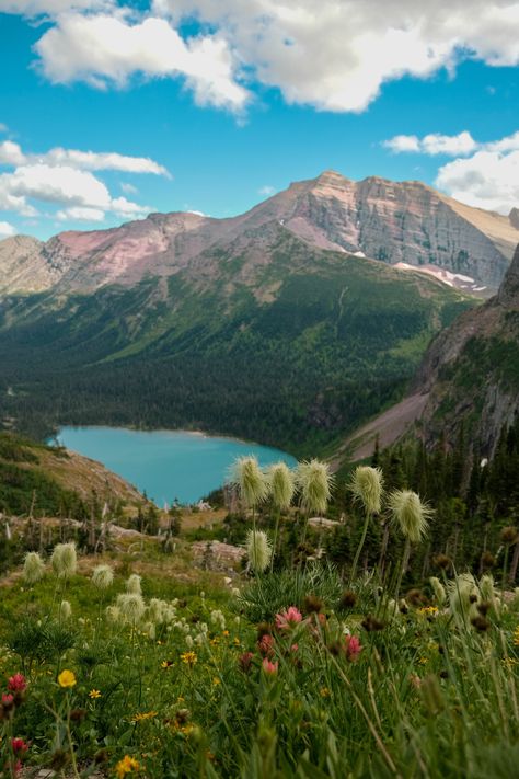 Summer Mountain Flowers Bloom Grinnell Glacier in Glacier National Park Montana Digital Download for Print. Gorgeous blue glacial lake and a variety of wildflowers Betty Core, Montana Aesthetic, Montana Summer, Glacial Lake, Grinnell Glacier, Mountain Flowers, Calming Pictures, Mountains Aesthetic, Glacier National Park Montana