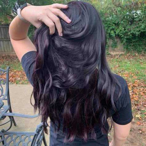 Winter Hair For Black Hair, Black Hair For Olive Skin Tone, Black Plum Hair Color Deep Purple, Winterberry Hair Color, Black Hair With Tint Of Purple, Berry Black Hair, Cool Highlights On Black Hair, Blackberry Brown Hair, Blackberry Brunette Hair