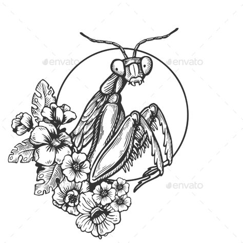 Mantis Insect, Mantis Tattoo, Insect Tattoo, Bug Tattoo, Tatuaje A Color, Engraving Illustration, Praying Mantis, Desenho Tattoo, Insect Art