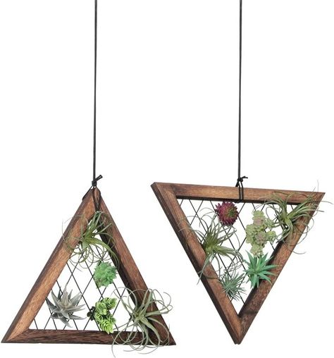 set of 2 wooden air plant holder with metal mesh design helps provide a breathable easy to absorb light environment for growing and collecting air plants, succulents, tillandisas and many other plants Plants Display, Shelf For Wall, Triangle Frame, Airplant Wall, Wall Plant Holder, Air Plant Display, Outdoor Living Decor, Cube Design, Macrame Plant Hangers