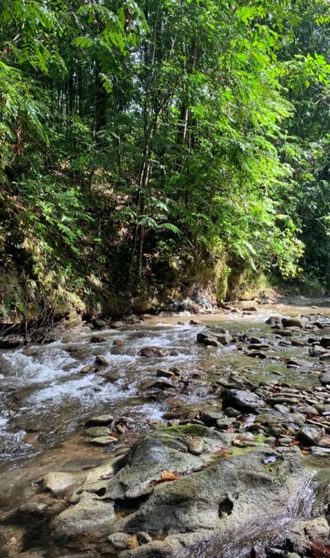 aesthetic green trees water lake river pretty goals trip travel nature dream photography wallpaper summer Landscape creek hiking Creek Aesthetic, River Wallpaper, Wallpaper Summer, Dream Photography, Green River, Aesthetic Green, Nature Tree, Summer Landscape, Photography Wallpaper