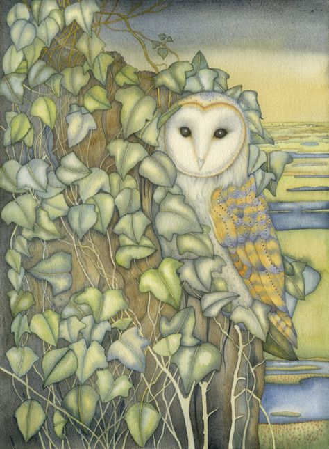 Kate Green, Owl Artwork, Owls Drawing, Owl Painting, Owl Art, Barn Owl, Mixed Media Painting, Free Paper, Bird Art