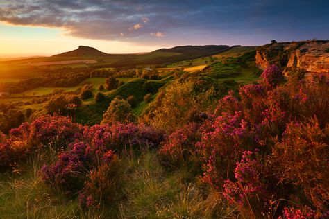 Landscape Image Nature, English Countryside, North Yorkshire, Pretty Places, Beautiful World, Beautiful Landscapes, Wonders Of The World, Yorkshire, Places To See