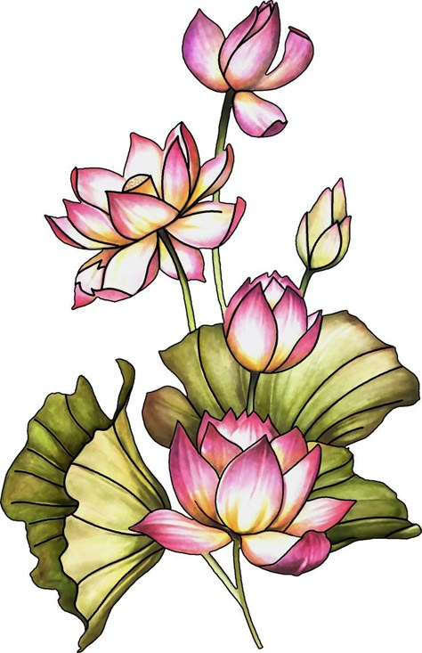 Blossom Doodle, Drawing Lotus Flower, Lotus Sketch, Rose Flowers Drawing, Lotus Flower Illustration, Lotus Outline, Mughal Prints, Flower Pot Drawing, Sketch Mandala