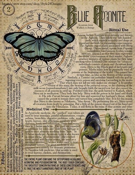 Herbal Grimoire, Herbs Witchcraft, Magickal Herbs, Etiquette Vintage, Magic Herbs, Plant Book, Wiccan Spell Book, Magical Herbs, Poisonous Plants