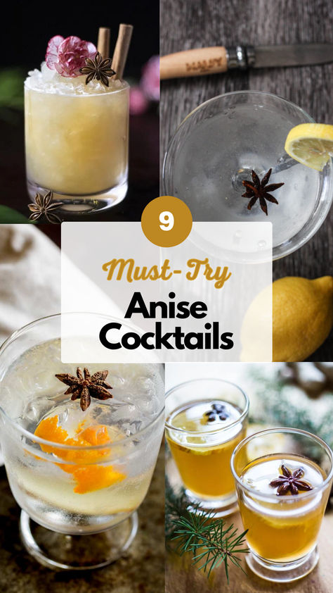 Anise Cocktails Anisette Liquor Recipes, Star Anise Cocktail, Anise Recipes, Liquor Recipes, Cocktails To Try, Infused Vodka, Star Anise, Adult Beverages, Herb Seeds