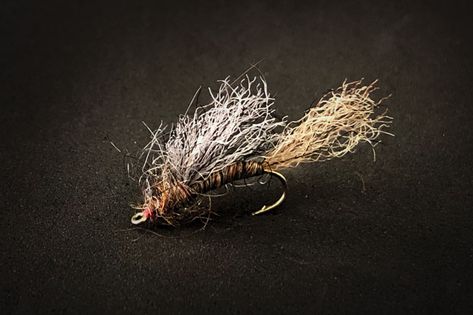 Best Trout Flies, Blue Winged Olive, Fly Fishing Flies Pattern, Trout Flies, Frozen Shoulder, Saltwater Flies, The Catskills, Trigger Point, Fly Fisherman