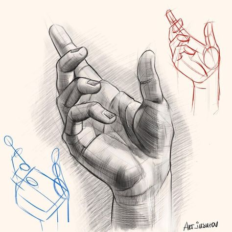 Hand Anatomy Study Art, Anatomy Hands Drawing, How To Draw A Hand, Hand Anatomy Drawing, Hand Anatomy, Human Body Drawing, Human Anatomy Drawing, Drawing Studies, Figure Sketching