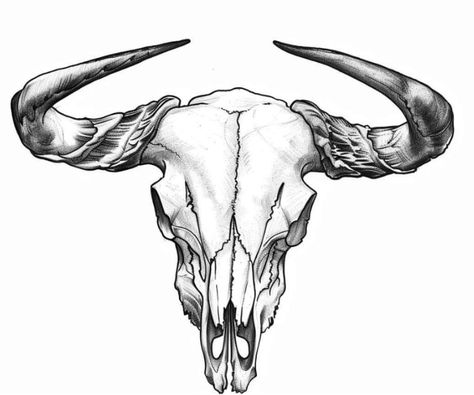 Buck Skull Tattoo, Bull Skull Tattoo Design, Bison Skull Tattoo, Bull Skull Drawing, Longhorn Skull Drawing, Cow Skull Tattoo, Bull Skull Tattoo, Bison Tattoo, Bull Skull Tattoos