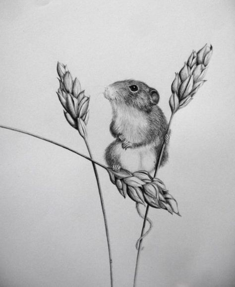 Field Mouse Tattoo, Mouse Tattoo, Line Drawing Tattoos, Mouse Tattoos, Mouse Illustration, Field Mouse, Pencil Drawings Of Animals, Mouse Drawing, 1 Tattoo