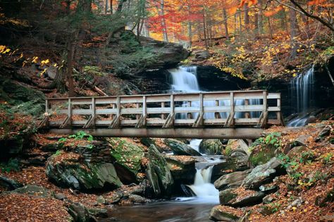 Fire Watch Tower, Ricketts Glen, Fire Watch, Petit Jean State Park, Cloudland Canyon, Travel Dubai, Custer State Park, Fall Creek, Fall Camping