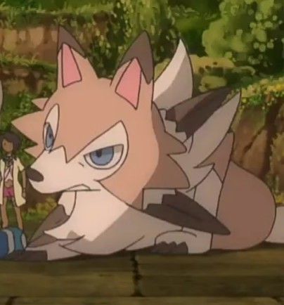 Lycanroc Screenshot Headspace Aesthetic, Shiny Zoroark, Mega Houndoom, Lycanroc Midday, Pfp Pokemon, Lycanroc Dusk, Lycanroc Art, Emo Male, Pokemon Lycanroc