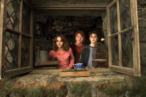 Harry Potter Harry Potter and the Prisoner of Azkaban Hermione Granger Ron Weasley #1080P #wallpaper #hdwallpaper #desktop Harry Potter Pc, Ron And Harry, Daniel Radcliffe Harry Potter, Harry Potter Ron Weasley, Harry Potter Ron, Harry Potter Spells, Slytherin Harry Potter, The Prisoner, The Prisoner Of Azkaban