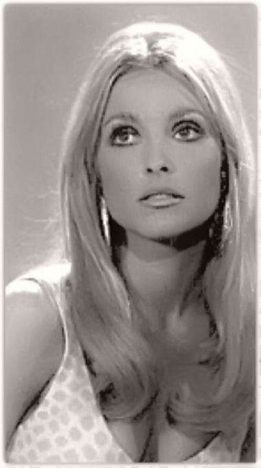 Shannon Tate, Manson Family, Lady Gaga Pictures, Sharon Tate, Dapper Day, Valley Of The Dolls, Bridal Hair And Makeup, Beautiful Ladies, Hollywood Glamour