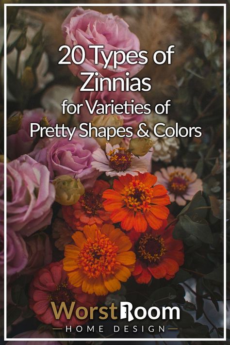 Types of Zinnias Garden Design Inspiration, Zinnia Flowers, Spices And Herbs, Garden Design Ideas, Types Of Flowers, Grow Your Own, Green Thumb, My Garden, Flower Garden