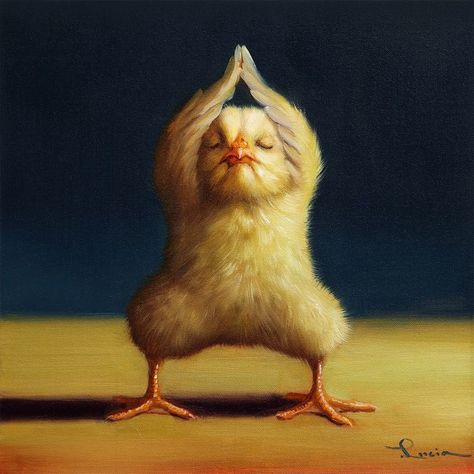 YOGA CHICK - SUMO SQUAT BY LUCIA HEFFERNAN Lucia Heffernan, Baby Chicks, Mini Canvas Art, 귀여운 동물, Yoga Poses, Animal Pictures, Baby Animals, Funny Animals, Illustration Art