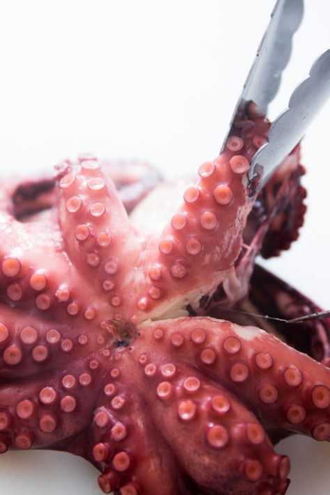 Boiled Octopus Recipes, Octopus Recipes Easy, Pulpo Recipe, Cooking Octopus, How To Cook Octopus, Octopus Recipe, Octopus Recipes, Happiness Tips, Delicious Seafood Recipes