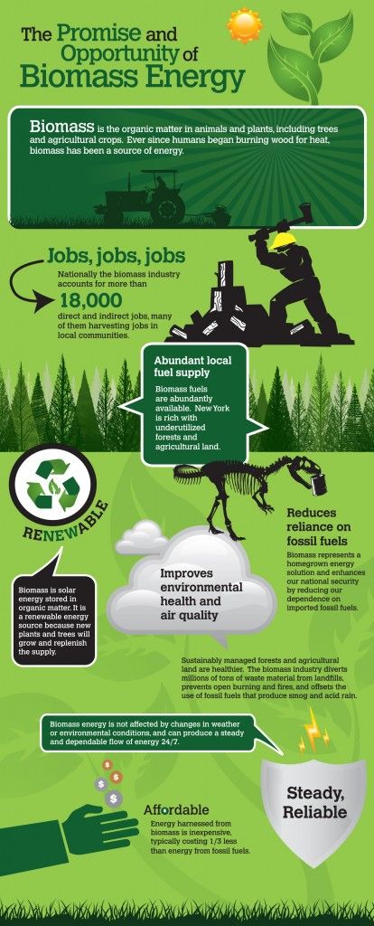 Biomass is biological material from living, or recently living organisms, most often referring to plants or plant-derived materials. Biomass is all biologically-produced matter based in carbon, hydrogen and oxygen. Biomass energy is derived from six distinct energy sources: garbage, wood, plants, waste, landfill gases, and alcohol fuels.  Can this be worth looking into? Non Renewable Energy, Biomass Energy, Solar Energy Diy, Geothermal Energy, Energy Resources, Power Energy, Energy Efficient Homes, Energy Technology, Sustainable Energy