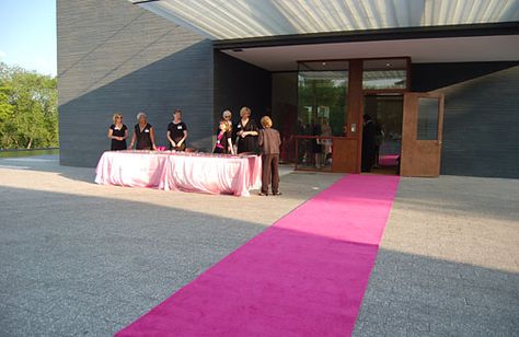 Pink carpet for the entry way Pink Carpet Event, Different Colors Of Pink, Choosing Carpet, Aisle Runner Wedding, Pink Carpet, Aisle Runner, Patterned Carpet, Wedding Aisle, Doll Hair