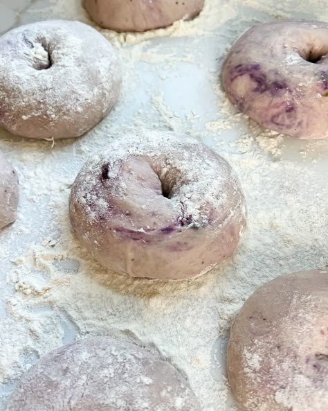 New York-Style Blueberry Sourdough Bagels Blueberry Bagels Sourdough, Homemade Blueberry Bagels, Blueberry Sourdough Bagels, Sourdough Blueberry Bagels, Blueberry Bagel Recipe, Blueberry Sourdough, Sourdough Bagel, Blueberry Bagels, Sourdough Blueberry