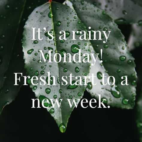 Rainy Monday Quotes, Happy Rainy Monday, Rainy Morning Quotes, Ella Quotes, Good Morning Rain, Rainy Day Quotes, Week Blessings, Good Morning Sister Quotes, Monday Greetings