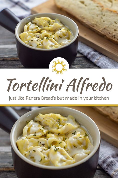 Tortellini Alfredo is a delicious pasta available at Panera Restaurants. Now you can make it at home in 15 minutes for an easy pasta dinner. #tortellini #alfredo Dinner Tortellini, Panera Recipes, Tortellini Alfredo, Copycat Panera, Chicken Tortellini Soup, Chicken Tortellini, Easy Pasta Dinner, Tortellini Recipes, Tortellini Pasta