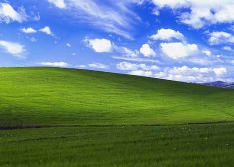 Charles O'Rear is the photographer who took the Windows XP wallpaper photo in Napa Valley. Windows Desktop Wallpaper, Image Zen, Wallpaper Horizontal, Wallpaper Windows 10, 2k Wallpaper, Desktop Windows, Desktop Images, R Wallpaper, Windows Wallpaper