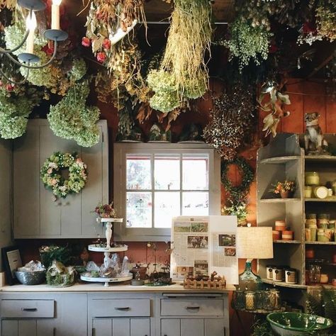 Estilo Kitsch, Witchy Cottage, Witches Cottage, Witchy Kitchen, Lots Of Plants, Cottage Witch, Witch Cottage, Cottage Aesthetic, Cottage In The Woods