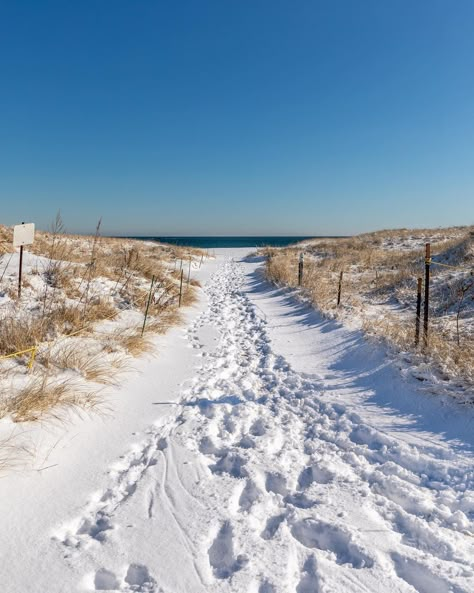 Capturing Portsmouth on Instagram: “Snow Covered Paths at Hampton Beach State Park - Hampton Beach, NH #hamptonbeach #seacoastnh #capturingportsmouth This winter hasn't…” Winter In The Hamptons, Hamptons Winter, Snow At The Beach, Nantucket Aesthetic, Coastal Winter, Hampton Beach Nh, 2024 Energy, Snow On The Beach, Winter In Florida