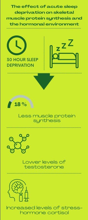 5 Hours Of Sleep, Important Enough, Sleep Phases, Muscle Repair, Gain Mass, Adequate Sleep, Muscle Protein, Quality Sleep, Skeletal Muscle