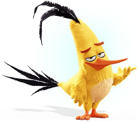 Characters | Angry Birds Chuck From Angry Birds, Hear Me Put Characters, Angry Birda, Angry Birds Movie Characters, Angry Birds Chuck, Angry Brids, All Angry Birds, Chuck Angry Birds, Angry Birds Characters