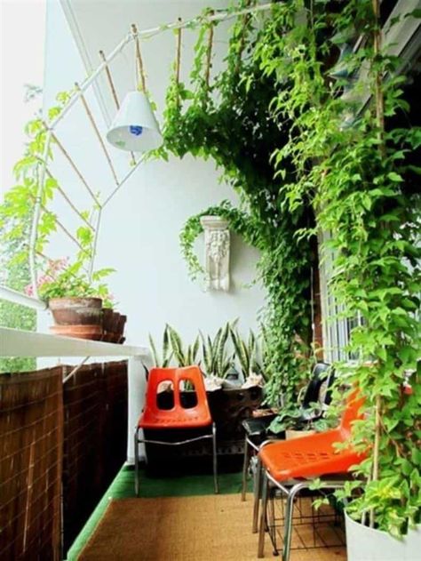 Balcony With Planter And Climbing Plants : Outdoor Balcony Climbing Plants Klein Balkon Decor, Balcony Shade, Apartment Balcony Garden, Balkon Decor, Balcony Privacy, Tiny Balcony, Small Balcony Garden, Small Balcony Design, Plants Growing