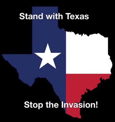 Texas Humor, Texas Strong, Habit Quotes, Republic Of Texas, Patriotic Pictures, Loving Texas, Interesting Quotes, Texas State, God Bless America