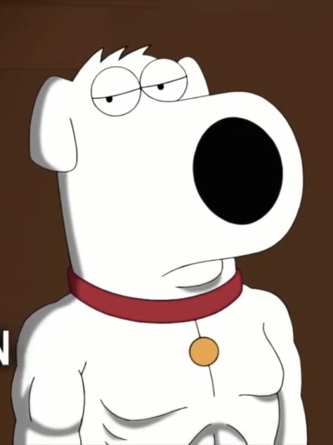 Brian Griffin Meme, Brian Griffin, Fantasy Basketball, Family Guy, Snoopy, Basketball, Memes, Drawings, Fictional Characters