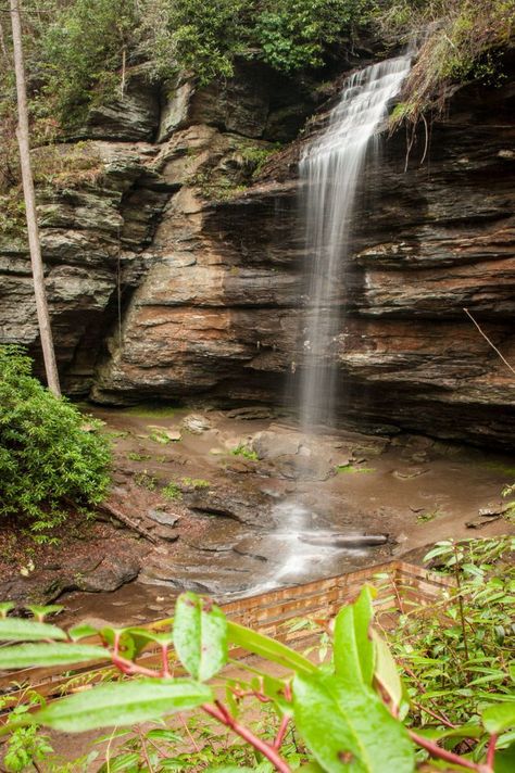 Brevard Nc, Gorges State Park, Waterfall Trail, Pisgah National Forest, Rainbow Falls, Waterfall Hikes, Forest Road, Small Waterfall, Camping Area