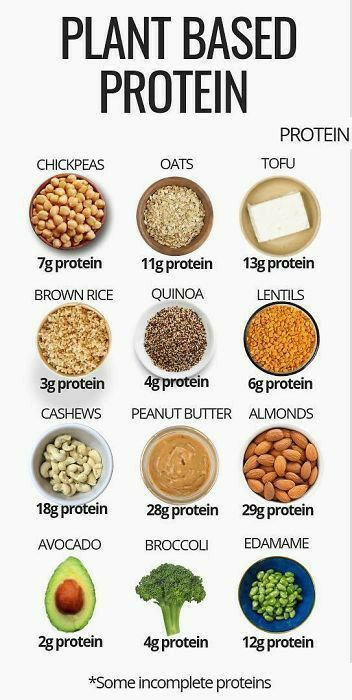 Plant Based Proteins, Japan Website, Healthy High Protein Meals, Food Health Benefits, Thm Recipes, Healthy Lifestyle Food, Cup A, Healing Food, Vegan Protein