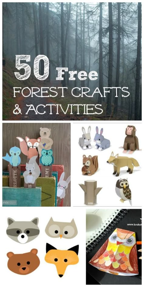 Learn about the forest and woodland animals with this HUGE list of free printable activities! Temperate Forest, Forest Animal Crafts, Forest Crafts, Free Printable Crafts, Diy Star, Crafts And Activities For Kids, Morning Time, Beautiful Books, Animal Activities