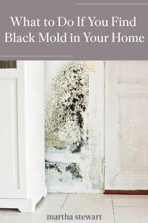 Experts share how to identify black mold in your home and exactly what to do when you discover it. Plus, what to look for when hiring professionals to remove this dangerous mold. #marthastewart #cleaninghacks #cleaningtips #hacks #lifehacks Mold Remover On Wood, Kill Black Mold, Clean Black Mold, Remove Black Mold, Old Bathtub, House Mold, Black Mold, Hacks Lifehacks, Types Of Mold