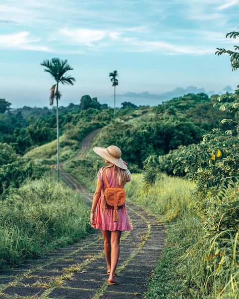 Campuhan Ridge Walk, Ubud Indonesia, All Airlines, Best Flights, Aesthetic Picture, Bio Quotes, On The Road Again, Bali Travel, Ubud