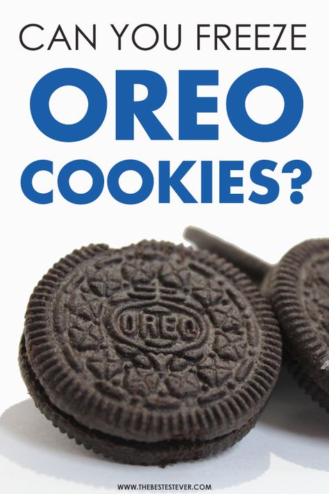 Want to know if you can freeze Oreo's? This short guide will take an in-depth look at why it makes sense to freeze these amazing cookies.  #oreo #oreos #oreocookies #freezefood #freeze #foodhacks #foodtips #freezertips # Freeze Dried Oreos, Oreo Dirt Pudding, Oreo Milk, Dirt Pudding, Oreo Pie, Oreo Cookies Dipped, Chocolate Dipped Cookies, Chocolate Dipped Oreos, Dipped Oreos