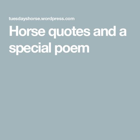 Horse quotes and a special poem Horse Quotes Meaningful Short, Horse Quotes Meaningful, Quotes Meaningful Short, Horse Poems, Alameda County Fair, New Mustang, Quotes Meaningful, Calgary Stampede, Somewhere In Time