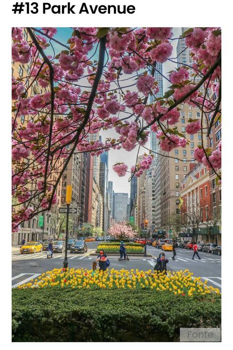 Park Avenue Nyc Aesthetic, Park Avenue Aesthetic, Nyc In Spring, Park Avenue Nyc, Spring In Nyc, Fifth Avenue Nyc, New York Noel, Spring Nyc, Nyc Spring